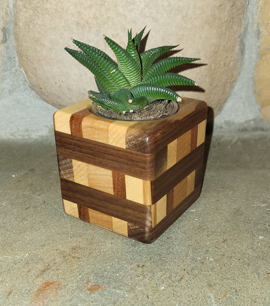 Succulent Wooden Planters